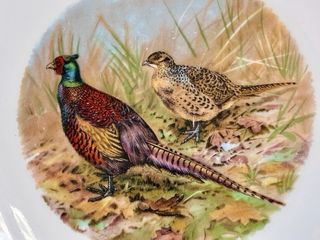 🇫🇷 Platos aves caza llanos