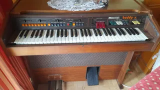 Órgano MILTON Buddy 2