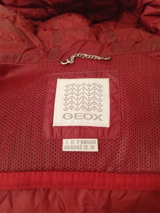 Plumas, marca Geox y Pepe Jeans 20€ uno   50€ tres