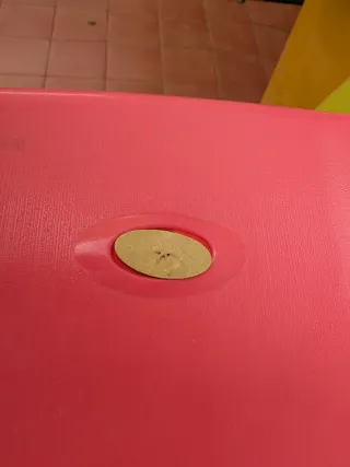 Tobogán infantil rosa