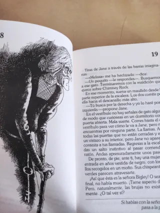 El misterio de Chimney Rock (elige tu propia av...