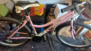 Bicicleta de paseo rosa jl wenty de 26 pulgadas