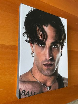 Quadro di Damiano David