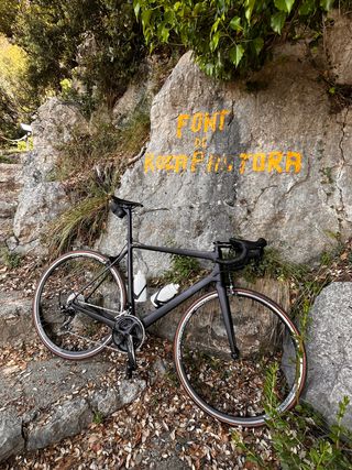 Par Ruedas Campagnolo Zonda C17 Shimano SRAM 11v