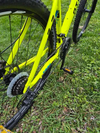 Bicicleta de Montaña