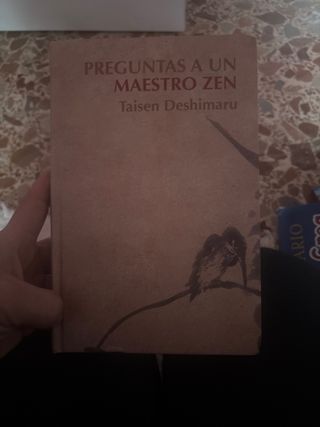 Preguntas a un Maestro Zen
