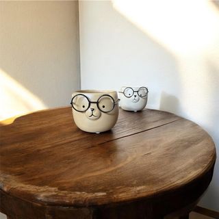 candela anti odore pet