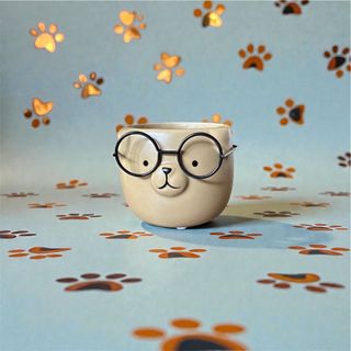 candela anti odore pet