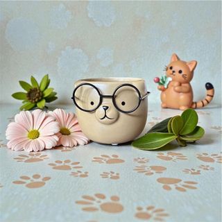 candela anti odore pet