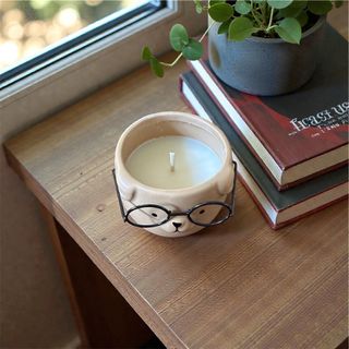 candela anti odore pet