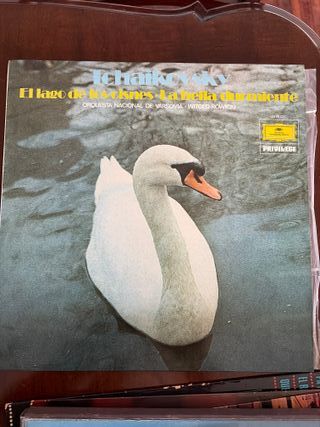 Lote +40 Vinilos Clásica y 70-80s