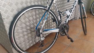 Bicicleta carretera Focus Izalco Pro carbono