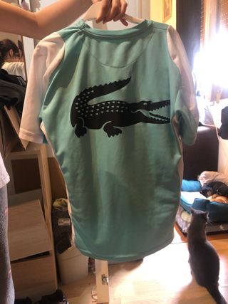 Chándal corto Lacoste turquesa y blanco