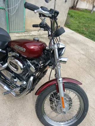 Harley Davidson Sportster XL 1200 Low 2008