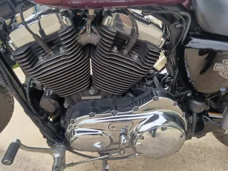 Harley Davidson Sportster XL 1200 Low 2008