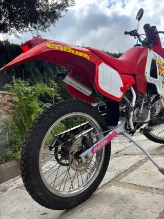 Beta MX 50 - Clásico 90's