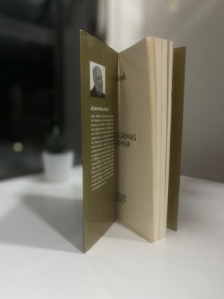 Libro Las lagrimas de shiva (Cesar Mallorqui).