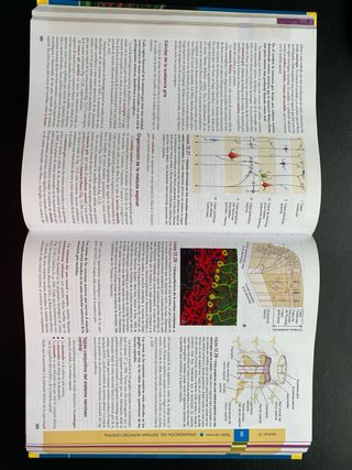 Histología: Texto y Atlas color con Biología Ce...