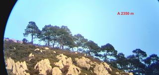 Telescopio terrestre 80mm HD FMC