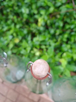 Vecchie bottiglie Marfa