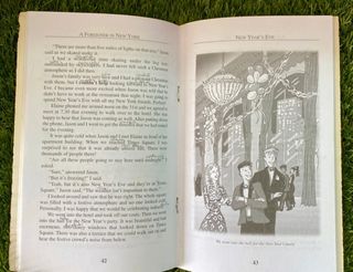 Libro A Foreigner in New York