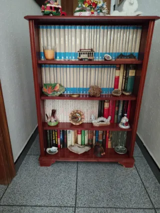 Pequeña Librería de Madera