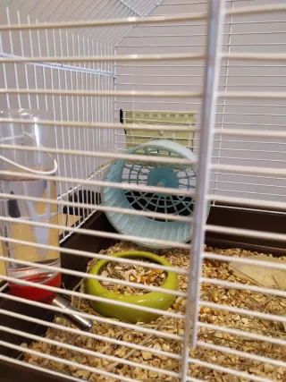 Jaula Hámster y Accesorios