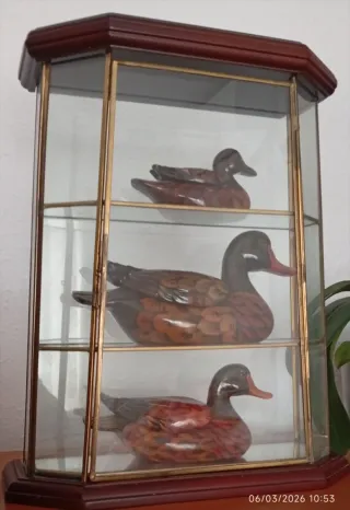 Vitrina de madera y cristal