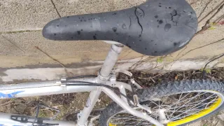 Bicicleta de Montaña