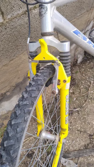 Bicicleta de Montaña