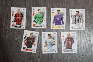 Pack 16 cromos especiales y 7 normales.