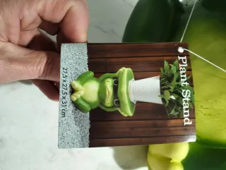 Porta piante a forma di rana