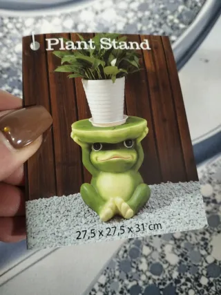 Porta piante a forma di rana