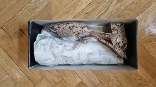 Zapatos de tacón con estampado de serpiente