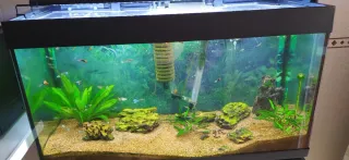 Acuario 100L cristal y plástico