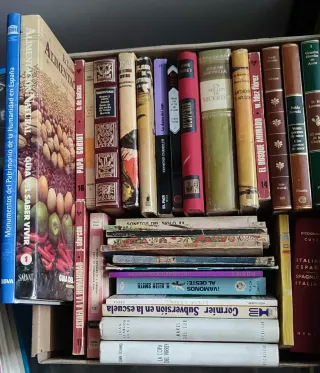 Lote CHOLLO 40 libros variados