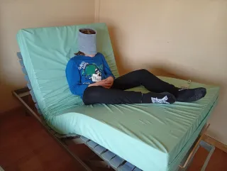 Cama Articulada Eléctrica