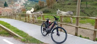 Bicicleta Eléctrica de Montaña