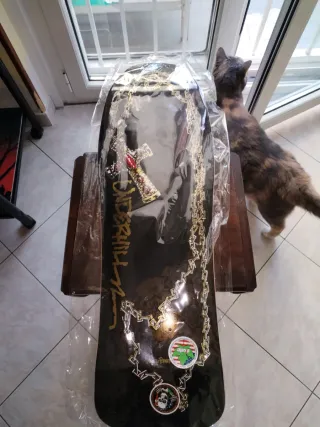 Skateboard Powell Underhill Cros