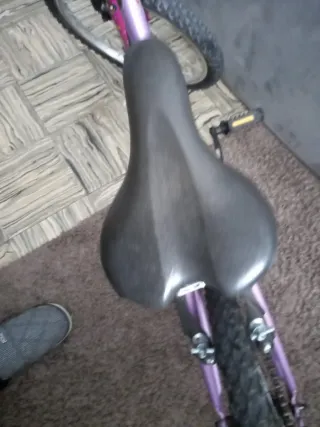 Bicicleta infantil 20 pulgadas