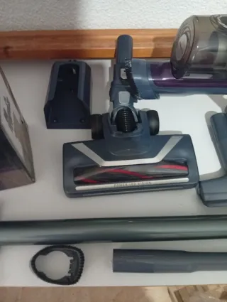 Aspirador Rowenta Xpert 6.60