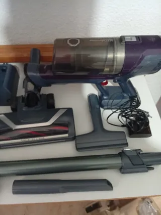 Aspirador Rowenta Xpert 6.60