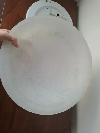 Plafoniera floreale in vetro e metallo