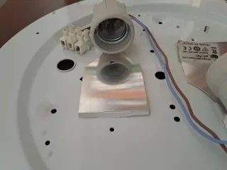 Plafoniera floreale in vetro e metallo