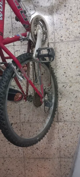 Bicicleta de montaña OBER WOLF