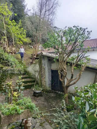 Mantenimiento Jardines/Fincas y Poda Árboles