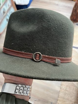 Sombrero de fieltro verde y marrón