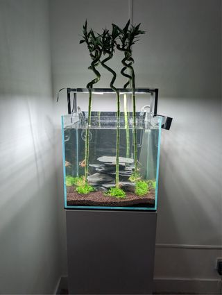 Acuario 42L completo