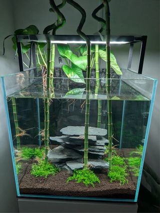 Acuario 42L completo