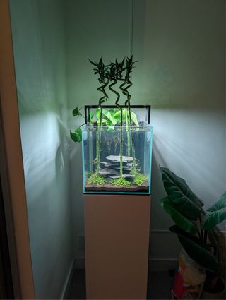 Acuario 42L completo